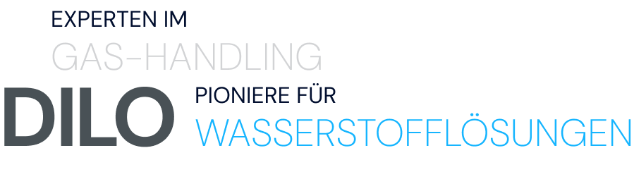 Text Visual DILO